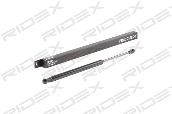 Gas Spring, boot/cargo area (219G0783)