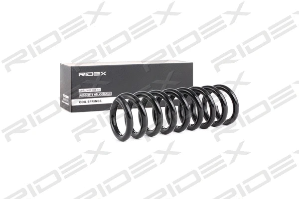 Suspension Spring (188C0170)