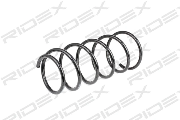 Suspension Spring (188C0420)