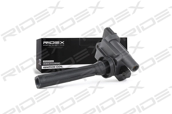 Ignition Coil (689C0083)