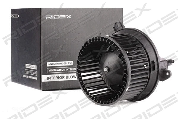 Interior Blower