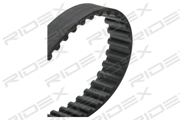 Timing Belt