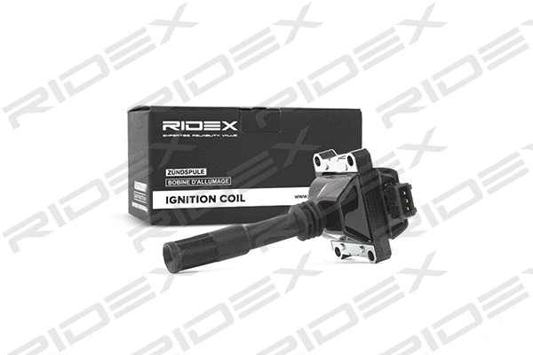 Ignition Coil (689C0146)