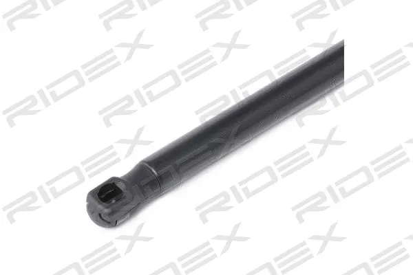 Gas Spring, boot/cargo area (219G0330)