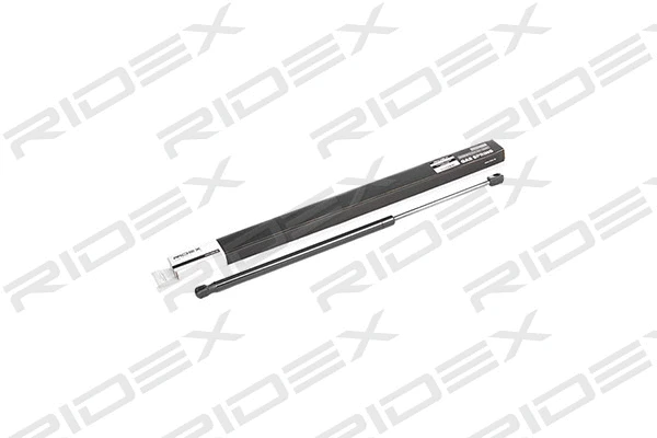 Gas Spring, boot/cargo area (219G0484)