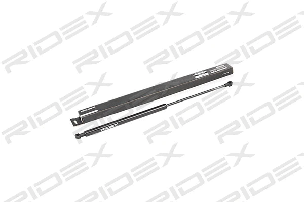 Gas Spring, boot/cargo area (219G0072)