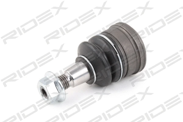 Ball Joint (2462S0319)