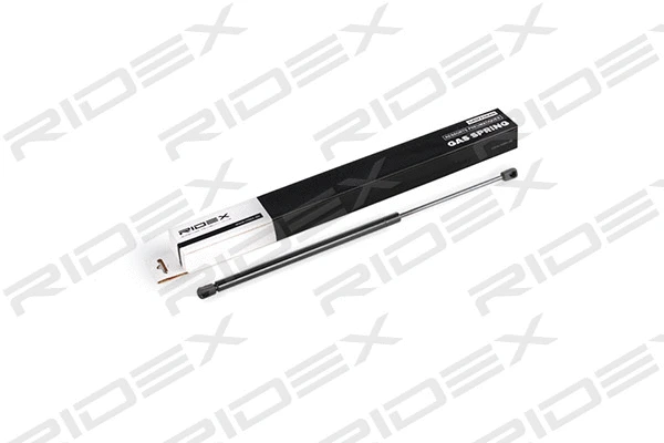 Gas Spring, boot/cargo area (219G0287)