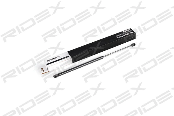 Gas Spring, boot/cargo area (219G0376)