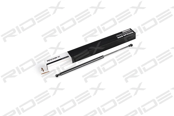 Gas Spring, boot/cargo area (219G0396)