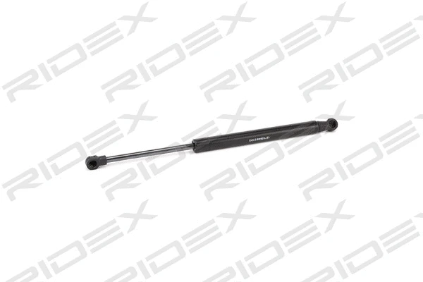 Gas Spring, boot/cargo area (219G0777)