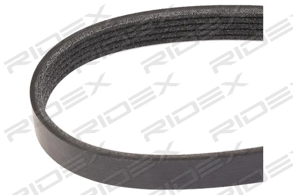 V-Ribbed Belt (305P0417)