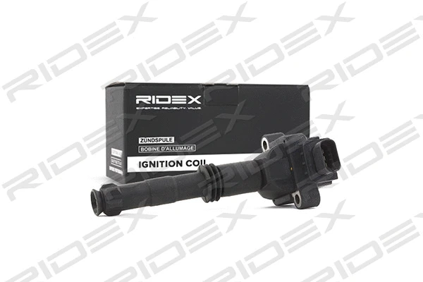 Ignition Coil (689C0144)