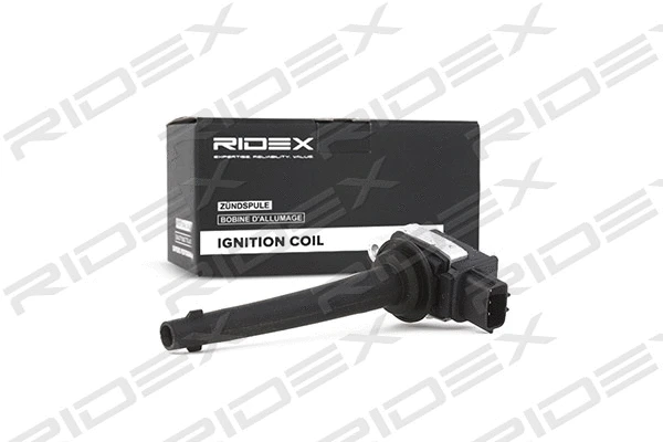 Ignition Coil (689C0106)