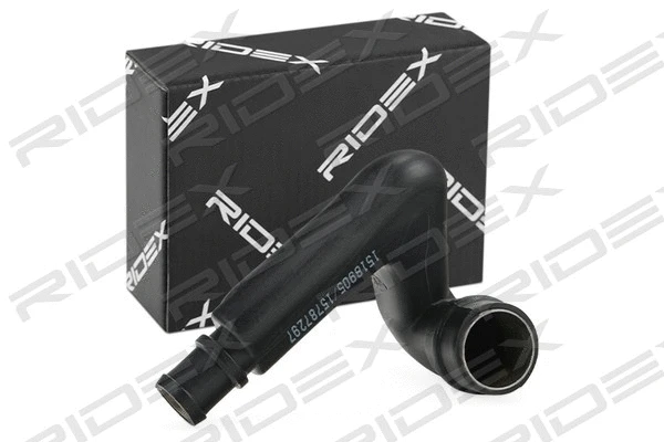 Hose, crankcase ventilation