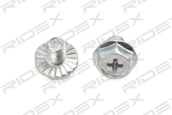 Window Regulator (1561W0359)