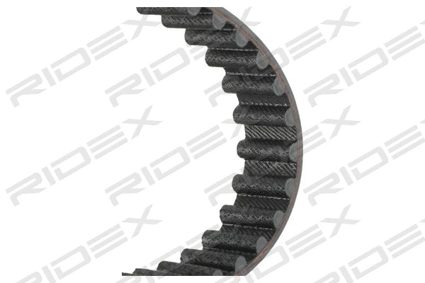 Timing Belt