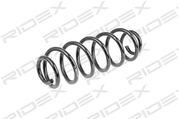 Suspension Spring (188C0227)