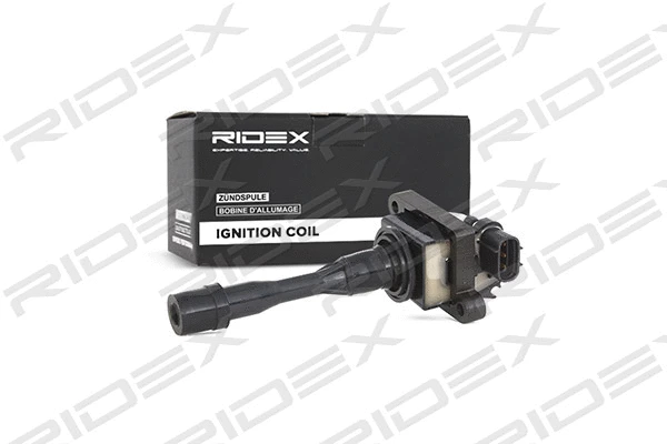 Ignition Coil (689C0163)
