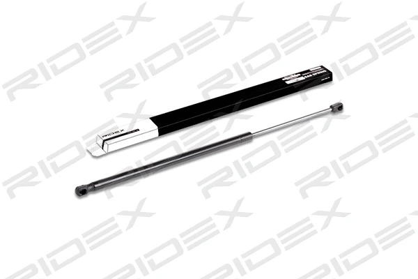 Gas Spring, boot/cargo area (219G0362)
