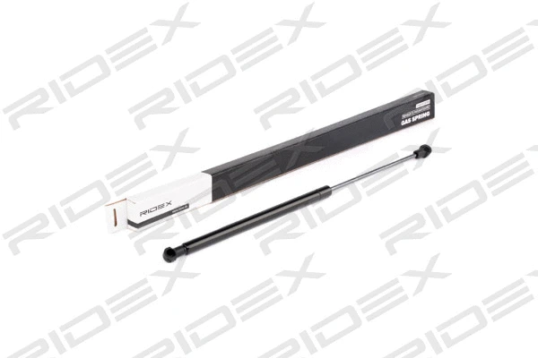 Gas Spring, boot/cargo area