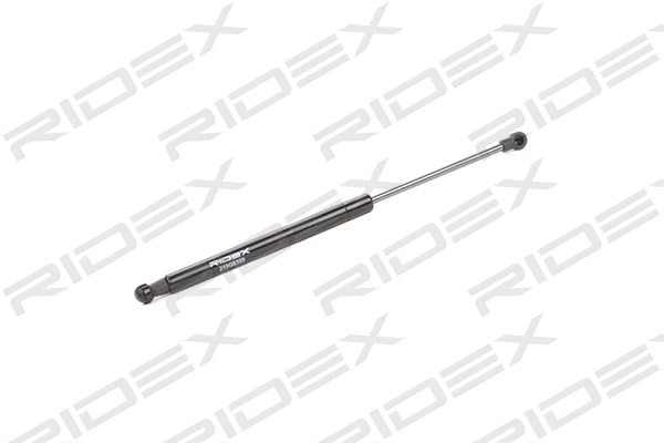 Gas Spring, boot/cargo area (219G0309)