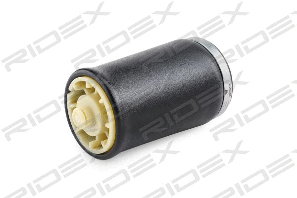 Air Spring, suspension