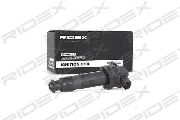 Ignition Coil (689C0161)