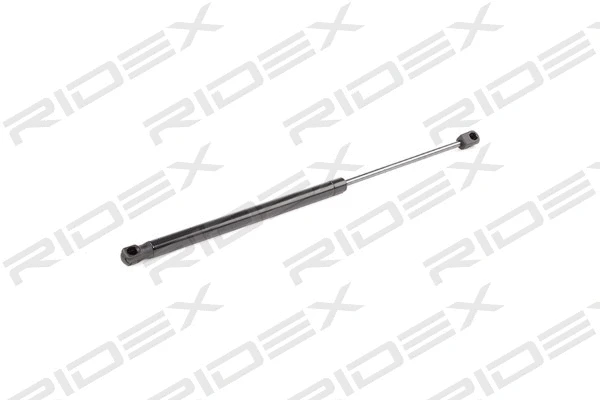 Gas Spring, boot/cargo area (219G0849)