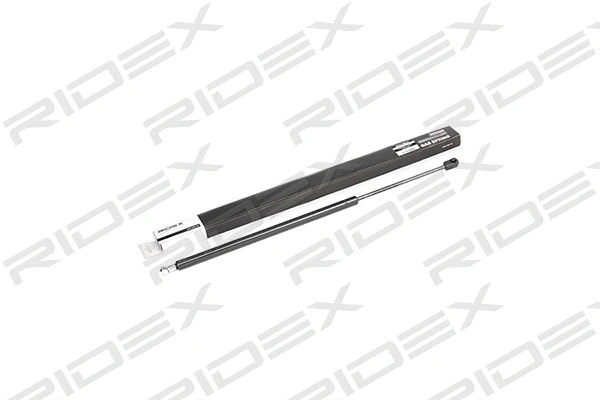 Gas Spring, boot/cargo area (219G0231)