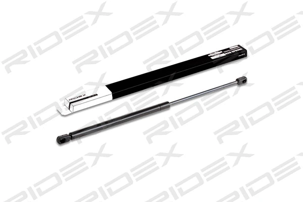 Gas Spring, boot/cargo area (219G0127)