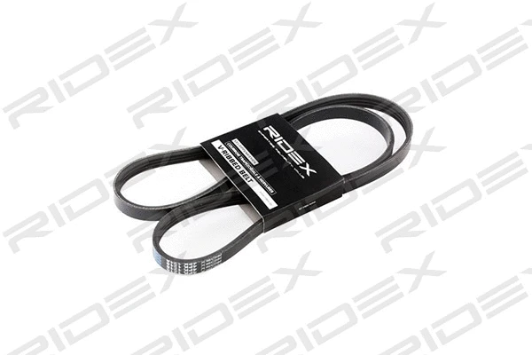 V-Ribbed Belt (305P0022)