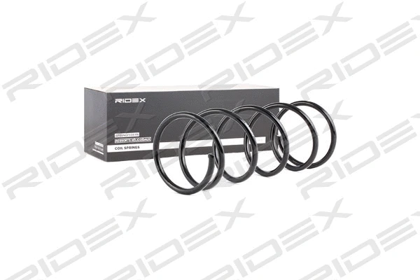 Suspension Spring (188C0107)