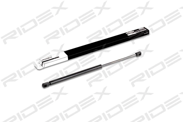 Gas Spring, boot/cargo area (219G0208)