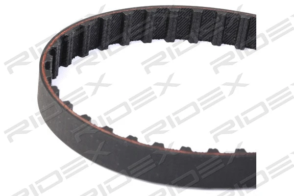 Timing Belt
