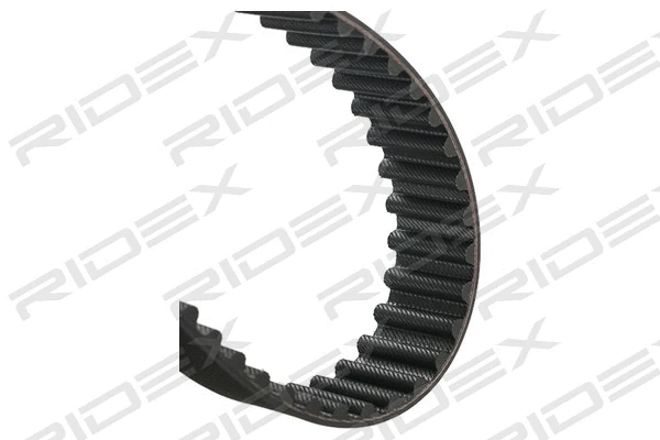 Timing Belt (306T0174)