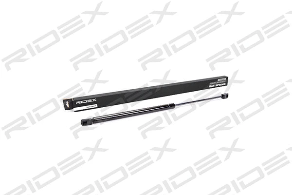 Gas Spring, boot/cargo area (219G0100)
