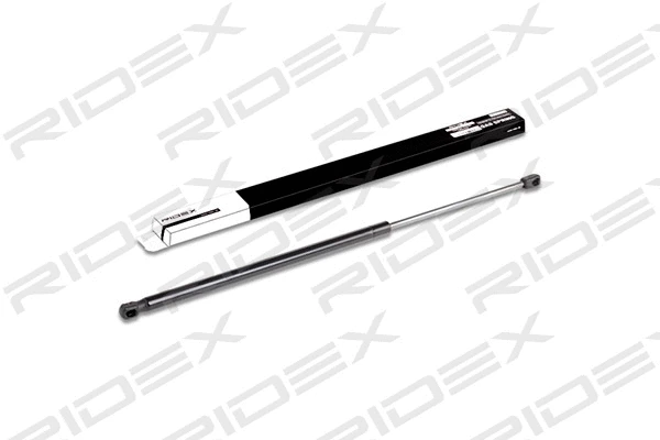 Gas Spring, boot/cargo area (219G0196)