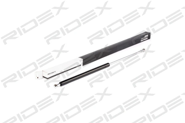 Gas Spring, boot/cargo area