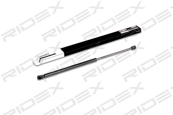 Gas Spring, boot/cargo area (219G0336)