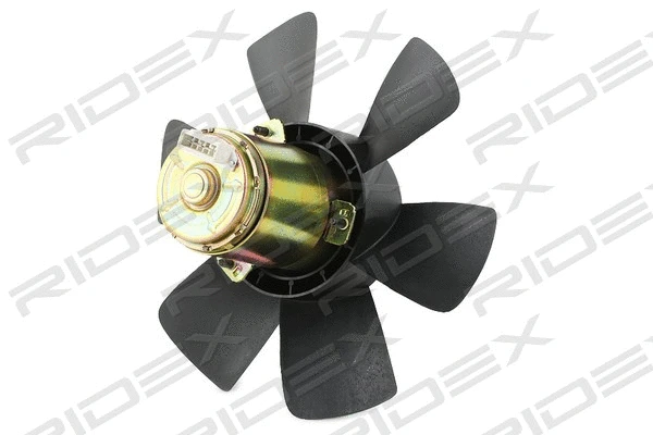 Fan, engine cooling
