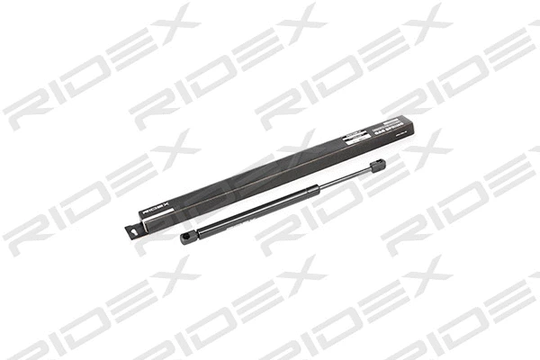 Gas Spring, rear window (219G0406)