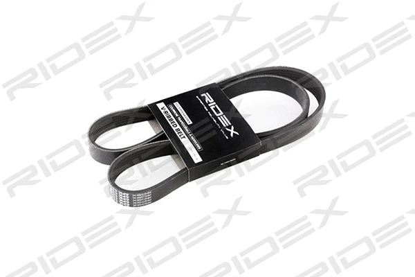 V-Ribbed Belt (305P0061)