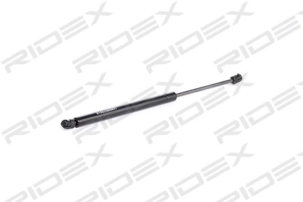 Gas Spring, boot/cargo area (219G0270)