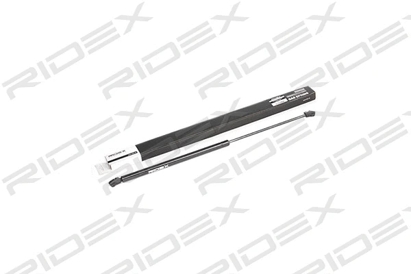 Gas Spring, boot/cargo area (219G0092)