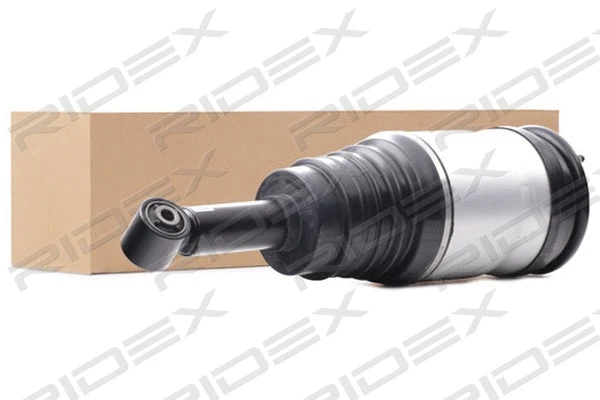 Air Suspension Strut (4118A0068)