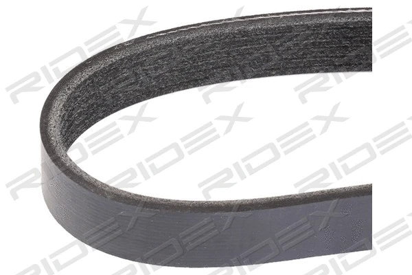 V-Ribbed Belt (305P0069)