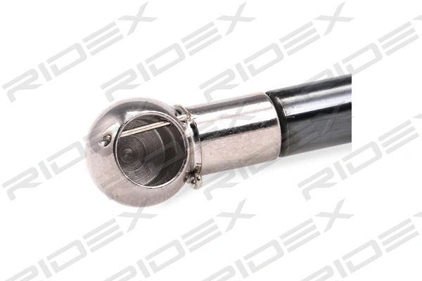 Gas Spring, boot/cargo area (219G0414)