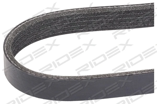 V-Ribbed Belt