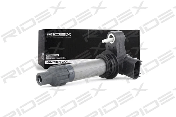 Ignition Coil (689C0216)